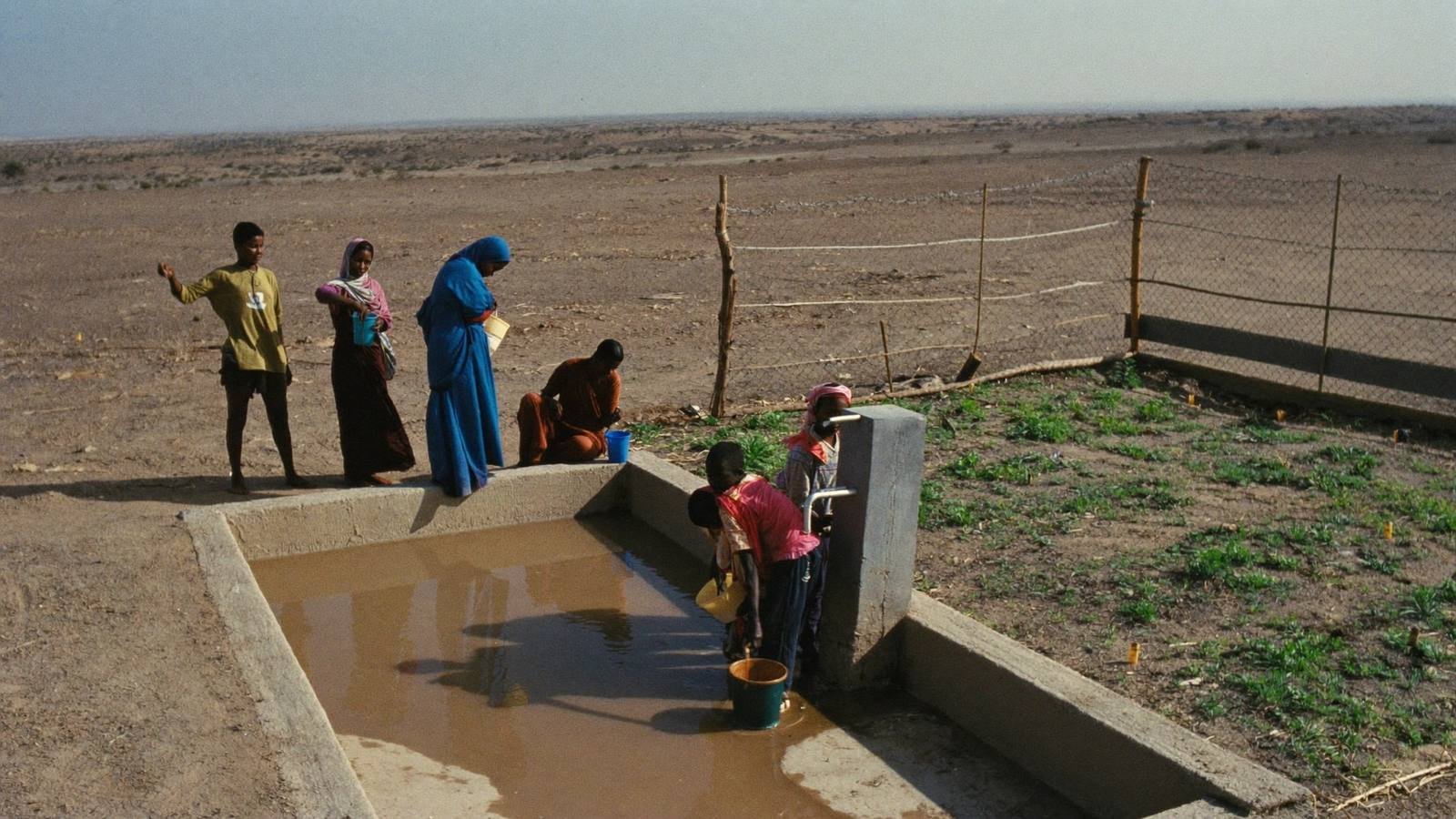 A community water point with seedlings in arid Kenya