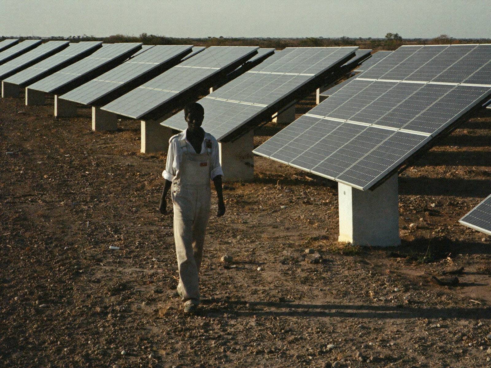 Technician walking between solar panel rows at golden hour